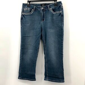3/$25 Earl Cropped Jeans Size 14P